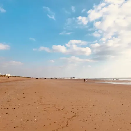 Ocean Et Pinede شقة سان جان دي مونت